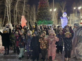 25 декабря в посёлке Молодёжный состоялось открытие новогодней ёлки! 